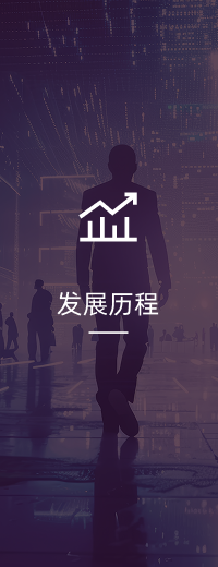 发展历程